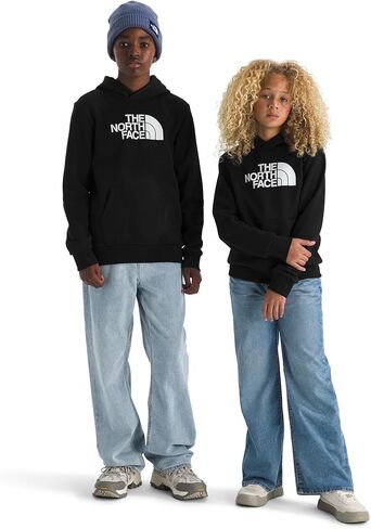 The North Face unisex-child Evolution Half Dome Hoodie in Saudi Arabia