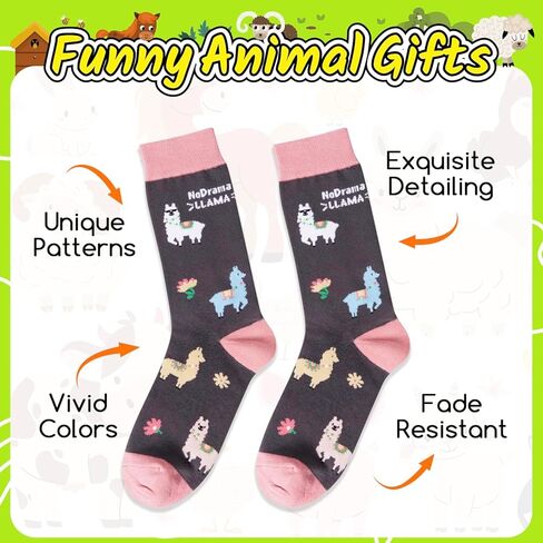 جوارب HAPPYPOP Novelty Llama للبنات - هدايا Llama للأطفال من عمر 10 إلى 12 عامًا، جوارب مقولة مضحكة in Kuwait