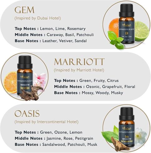Hotel Collection Diffuser Oil Gift Set - 5 x 20ml / 0.68 fl oz, OliveTech Hotel Fragrance Oil Inspired by Marriott, Westin, Ritz Carlton, GEM & Oasis Scents, Glass Bottles in Kuwait