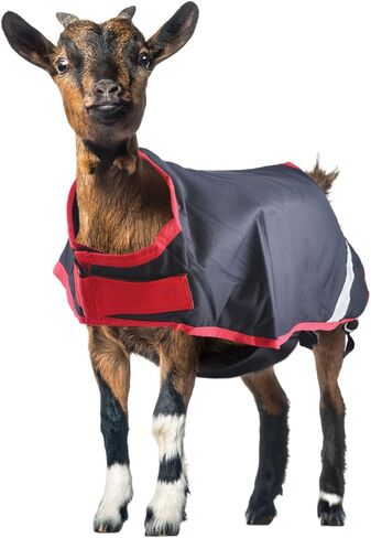 معطف الماعز الأيرلندي من Horseware Excalibur/Silver L in Saudi Arabia