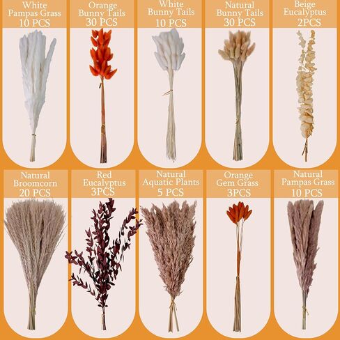 130 قطعة من عشب بامباس البرتقالي الحقيقي، 17 بوصة زهور مجففة طبيعية بوهو ديكور شتوي، باقة زهور خريفية مختلطة - ذيل أرنب أوكالبتوس ترتيبات زهور منزلية قطعة مركزية للزفاف in Kuwait