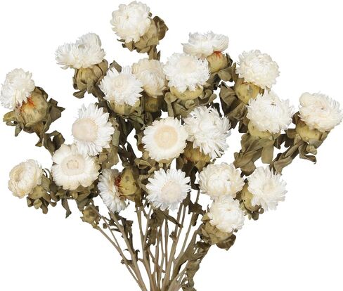 Dried Flowers Bouquet Dried Daisy Flowers Natural Lavender Dried Flowers Bunny Tails Gerber Daisies Flowers Wheat Stalks Floral Arrangements for Wedding Table Centerpiece Decor Farmhouse DIY in Kuwait