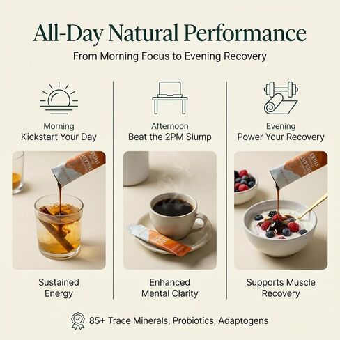 Shilajit Honey Sachets – 3900mg Liquid Complex with 85+ Trace Minerals, Cinnamon, Zinc, Turmeric & Probiotics – Energy, Focus & Recovery Adaptogen for Men & Women – Cognitive & Hormonal Support in Saudi Arabia
