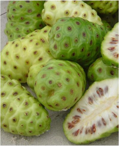 Royal Noni Capsules 100% Organic Noni Fruit Sustainably Grown and Harvested With Fijian Noni Natural Source of Antioxidant and Amino Acids in Saudi Arabia