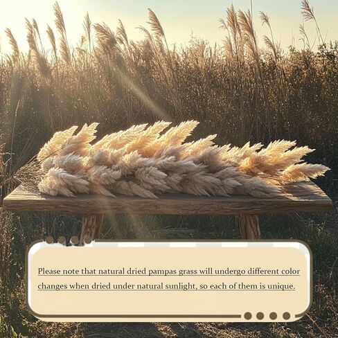 20 Stems Natural Pampas Grass Decor 40" Tall Dreid Pampas Grass for Wedding, Party, Farmhouse, Brown Dreid Flowers Boho Home Decor in Saudi Arabia