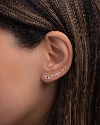 Diamond Ear Crawler in Saudi Arabia