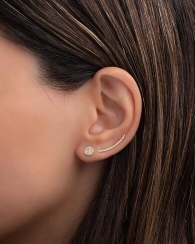 Diamond Ear Crawler in Saudi Arabia