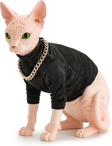 JW PEI Women's Sadie Gem Necklace Cat Clutch in Saudi Arabia