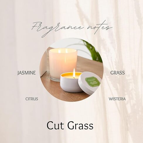 شمعة Field + Fleur من Hillhouse Naturals في علبة بيضاء 100% مزيج شمع الصويا - 6 أونصة (عشب مقطوع) in Kuwait