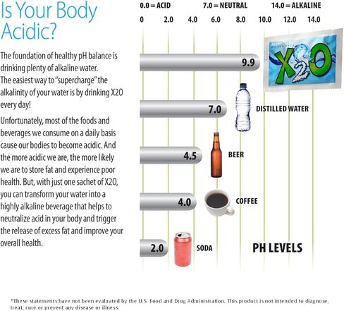 X2O Flavorless Drop-In Mineral Bags for Alkaline & Hydrogen Water – 30 Count | Alkalize Filtered Water | Add 70+ Ionic Trace Minerals for Cellular Hydration, Balanced pH, and Electrolytes in Saudi Arabia