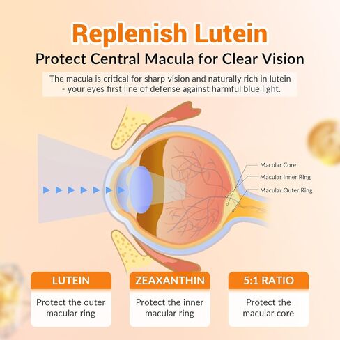 Lutein and Zeaxanthin Gummies Supplements Support Eye Health, 9 in 1 with Vitamin E and C, B-carotene, DHA, Zinc, Anthocyanin (Blueberry Extract), Complex Probiotics, Non-GMO, Gluten Free I 60 Gummies in Saudi Arabia