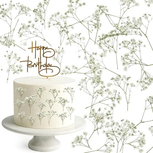 100 قطعة من الزهور البيضاء المضغوطة المجففة - عبوة كبيرة من الزهور المسطحة الطبيعية الحقيقية مقاس 3 بوصات لفن الراتنج، والحرف اليدوية، ودعوات الزفاف، وسجل القصاصات، والصابون، والإطار، والكعك والديكور المنزلي in Kuwait