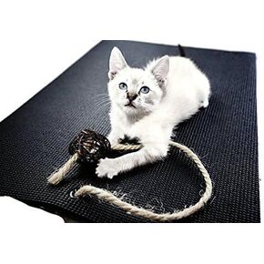 Cat Mat with Catnip Cat Toy. Cat Scratching Post, Bed, Activity Play Mat (Purple) in Kuwait