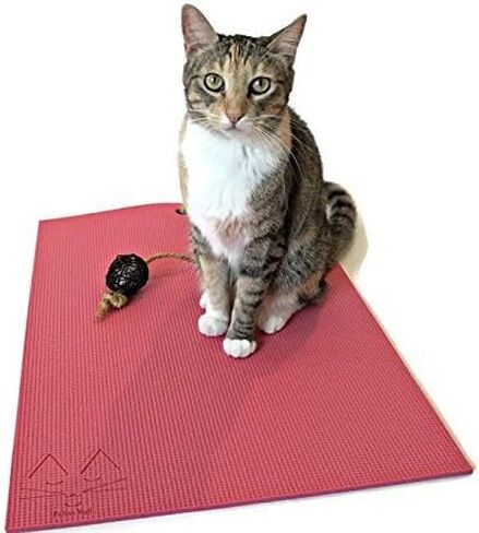 Cat Mat with Catnip Cat Toy. Cat Scratching Post, Bed, Activity Play Mat (Purple) in Saudi Arabia