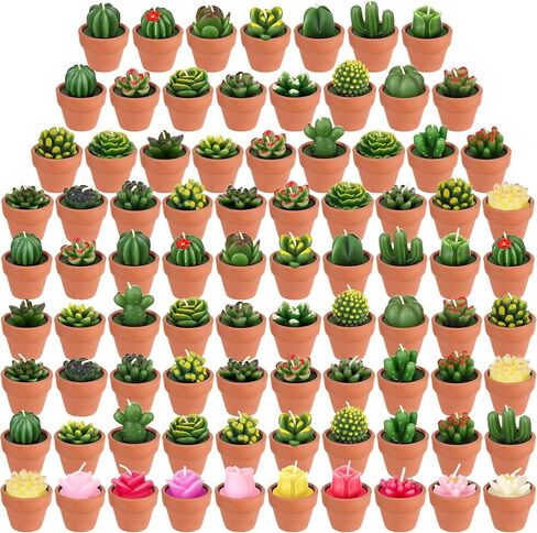 60 Pcs Succulent Candles Cactus Candles with Terracotta Pot Mini Baby Shower Plant Candles Novelty Handmade Tealight Terrarium Plant Candles Bulk for Party Favor Fiesta Birthday Wedding Home Decor in Saudi Arabia