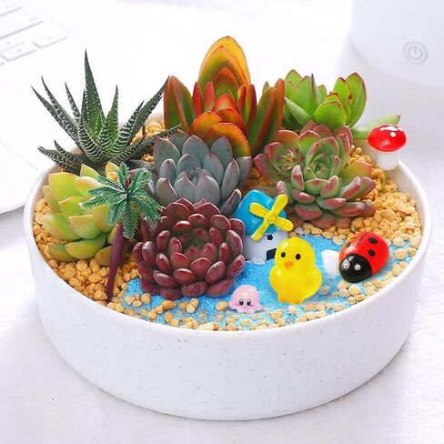 28PCS Miniature Animal Statue Sculptures - Cute Resin Figurines Set for Home Decor, Fairy Garden Display, and DIY Statues (Random Design) in Saudi Arabia