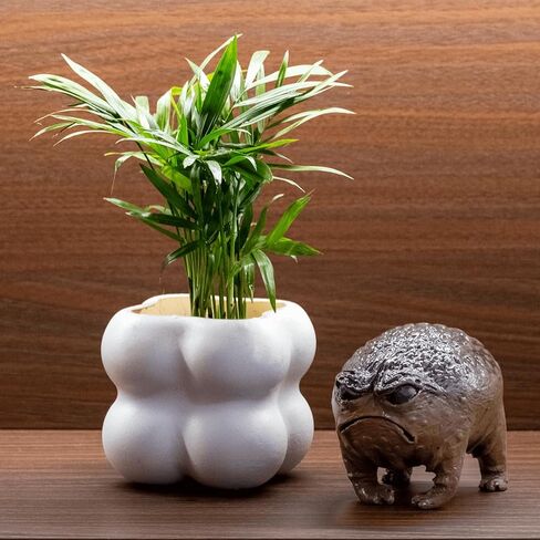 Grumpy Frog Statue, Frog Decor Figurine for Desk & Home, Weird Angry Frog Sculpture, Mini Frog Ornament, Unique Frog Gift with Box, 1pcs in Saudi Arabia