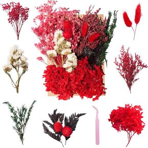 Real Dried Flowers Christmas Natural Dry Flowers,Mixed Natural Pressed Dried Flowers,Real Dry Florals for Resin Crafts, Candle Making, DIY Art Projectsr (Red) in Saudi Arabia