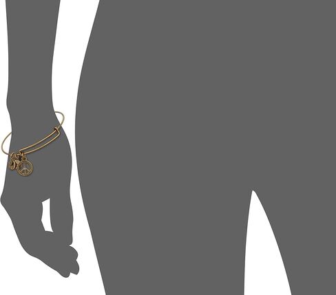 Alex and Ani Bangle Bar "World Peace" Rafaelian Expandable Bracelet, 7.75" in Saudi Arabia