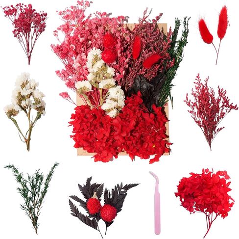 Real Dried Flowers Christmas Natural Dry Flowers,Mixed Natural Pressed Dried Flowers,Real Dry Florals for Resin Crafts, Candle Making, DIY Art Projectsr (Red) in Saudi Arabia