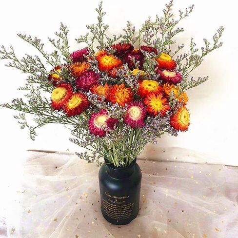 20Pcs Natural Dried Daisy Flowers Bouquet - Multicolor Daisy Dried Sunflowers Bouquet, Dry Flower Arrangements for Wedding, Table Vase Decor, Home Office Party Farmhouse Decoration in Saudi Arabia