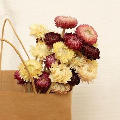 20Pcs Natural Dried Daisy Flowers Bouquet - Multicolor Daisy Dried Sunflowers Bouquet, Dry Flower Arrangements for Wedding, Table Vase Decor, Home Office Party Farmhouse Decoration in Saudi Arabia