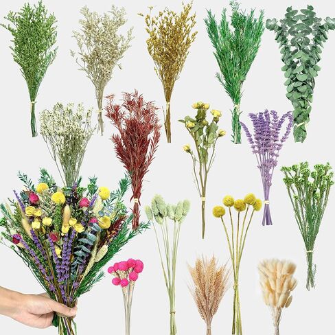 باقة زهور مجففة 110 قطعة - مجموعة زهور محفوظة من 15 نوعًا مع 12 بوصة لافندر وأوكالبتوس وذيول أرنب وورود مجففة لديكور المنزل وحفلات الزفاف وحرف الهدايا والمزهرية وتشكيلة الزهور المصنوعة يدويًا in Kuwait