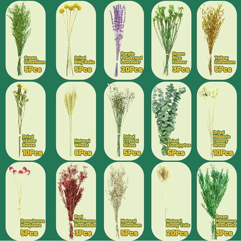 باقة زهور مجففة 110 قطعة - مجموعة زهور محفوظة من 15 نوعًا مع 12 بوصة لافندر وأوكالبتوس وذيول أرنب وورود مجففة لديكور المنزل وحفلات الزفاف وحرف الهدايا والمزهرية وتشكيلة الزهور المصنوعة يدويًا in Kuwait