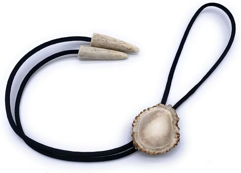 Polished Deer Burr Bolo Tie W/Antler Tips in Kuwait