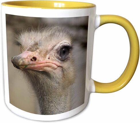 3dRose mug_116211_1 Silly Cute Ostrich Face Nature Animal Photo Ceramic Mug, 11-Ounce in Saudi Arabia