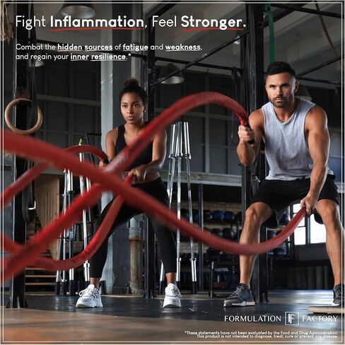 Formulation Factory Heart of Steel: 10-in-1 Metabolic Maximizer Nitric Oxide Supplement, Blood Pressure Support, L Arginine, L Citrulline Natural Pre-Workout: Energy Management 120 Count in Saudi Arabia