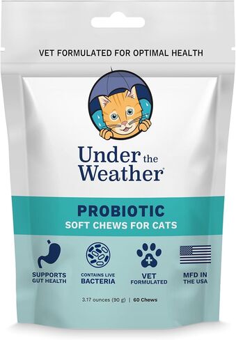 Under the Weather Pet Probiotics Powder for Cats | Vet Formulated Probiotic Supplement for Digestive Gut Health | Promotes Good Digestion & Immunity | Aids Occasional Diarrhea for Cats (2.54 Oz) in Saudi Arabia