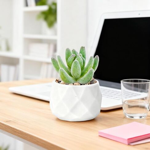 Artificial Succulent Plant in Diamond Shaped Pot Faux Succulent for Home and Office Decor Realistic Succulent Plant(Green) in Saudi Arabia