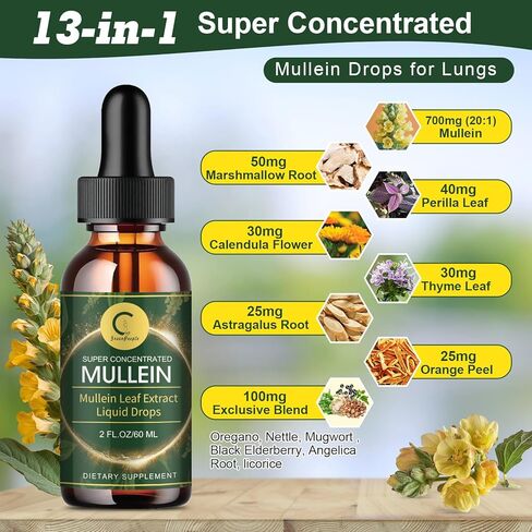 (عبوتان) قطرات مولين للرئتين - مستخلص أوراق مولين عالي الفعالية لإزالة سموم الرئة وتطهيرها، دعم الجهاز التنفسي والمناعي والجهاز الهضمي، صبغة سائل مولين طبيعية، غير معدلة وراثيًا، 4 أونصة سائلة in Kuwait