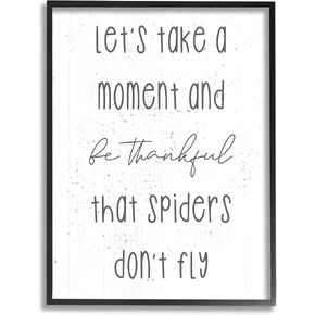 Stupell Industries Spiders Don't Fly Humor Framed Wall Art, Design by Daphne Polselli in Kuwait