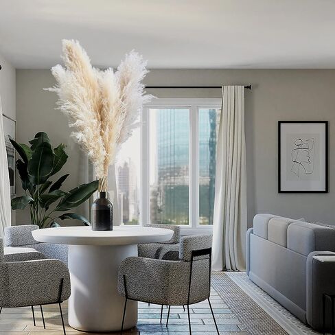 AnziMoss® عشب بامباس بطول 50 بوصة مع 10 سيقان، لون طبيعي مجفف نقي، بومباس كبيرة ورقيقة، زهرة مجففة لديكور المنزل، الزفاف، بوهو، مزهرية أرضية، ترتيب الأزهار، الحرف اليدوية، حديقة (طبيعية) in Kuwait