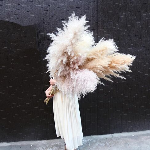 AnziMoss® عشب بامباس بطول 50 بوصة مع 10 سيقان، لون طبيعي مجفف نقي، بومباس كبيرة ورقيقة، زهرة مجففة لديكور المنزل، الزفاف، بوهو، مزهرية أرضية، ترتيب الأزهار، الحرف اليدوية، حديقة (طبيعية) in Kuwait