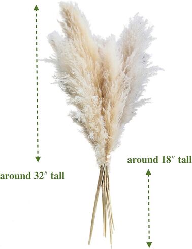 AnziMoss® عشب بامباس بطول 50 بوصة مع 10 سيقان، لون طبيعي مجفف نقي، بومباس كبيرة ورقيقة، زهرة مجففة لديكور المنزل، الزفاف، بوهو، مزهرية أرضية، ترتيب الأزهار، الحرف اليدوية، حديقة (طبيعية) in Kuwait
