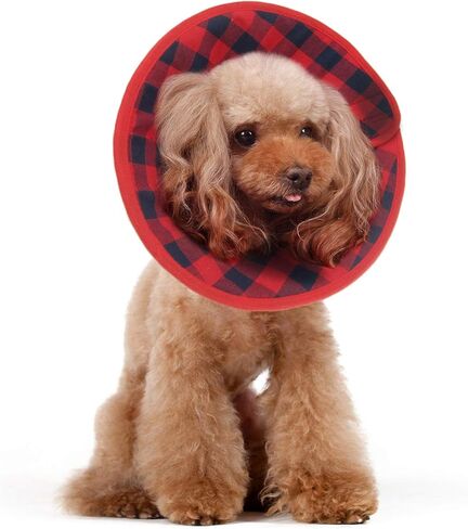 Alfie Pet - Candace Soft Recovery Collar (for Dogs and Cats) - Color: Red Flannel, Size: Medium in Kuwait