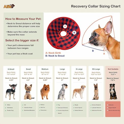 Alfie Pet - Candace Soft Recovery Collar (for Dogs and Cats) - Color: Red Flannel, Size: Medium in Kuwait