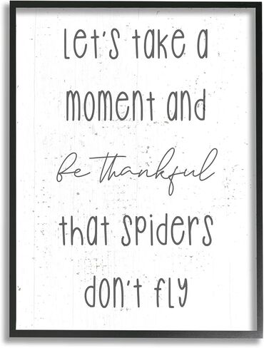 Stupell Industries Spiders Don't Fly Humor Framed Wall Art, Design by Daphne Polselli in Saudi Arabia