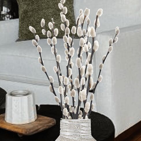 35 Stems 17＂Real Dried PussyWillow Branches for Vase，Natural PussyWillows with White Flowers, Snow Willow Branches for Indoor and Outdoor Decor, Wedding Home Party Hotel Fireplace Yard in Saudi Arabia