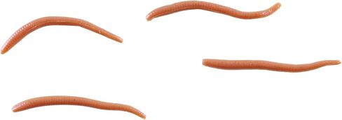 Berkley Gulp! Alive!® Angle Worm, Red Wiggler, 1- Inch in Saudi Arabia