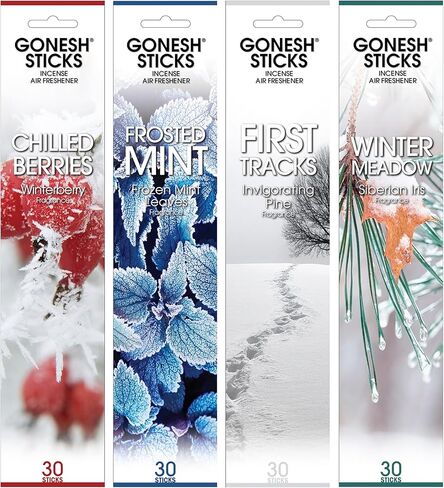 Gonesh Scents of Summer - Incense Sticks Variety Pack - Non-Toxic 10" Slow Burn Aromatic Sticks - Summer Swirl, Flip Flop, Cool Pooch, Lazy Days - 30 Sticks Each in Saudi Arabia