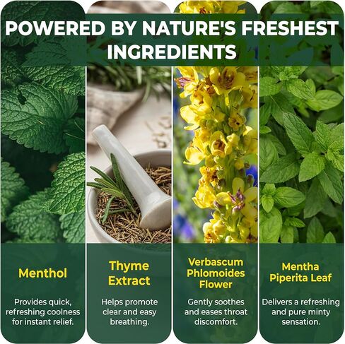 Mint Flavored Air Device | Smokeless Inhaler | Nicotine-Free | Non-Electric Portable Fresh Aroma Stick | 100% Natural Plant-Based Refreshment in Saudi Arabia