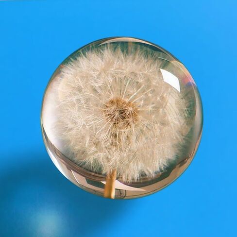 Collectible Real Dandelion Sphere, Glass & Resin, 3D Preserved Flower Paperweight, 2.56in, Birthday/Wedding/Valentine’s Day Gifts in Saudi Arabia