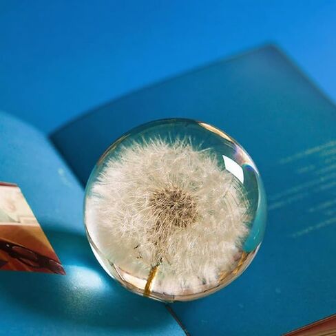 Collectible Real Dandelion Sphere, Glass & Resin, 3D Preserved Flower Paperweight, 2.56in, Birthday/Wedding/Valentine’s Day Gifts in Saudi Arabia