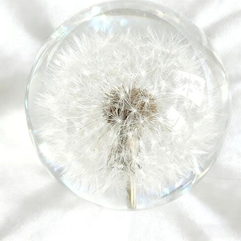 Collectible Real Dandelion Sphere, Glass & Resin, 3D Preserved Flower Paperweight, 2.56in, Birthday/Wedding/Valentine’s Day Gifts in Saudi Arabia