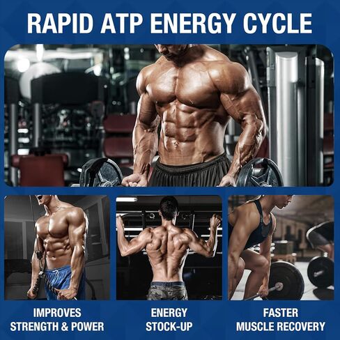 عبوتان من علكات الكرياتين HMB مونوهيدرات 8000 ملغ للرجال والنساء، إل-كارنيتين، إل-تورين وفيتامين ب6 12، 180 نكهة التوت الأزرق (كمية تكفي 60 يومًا) in Kuwait