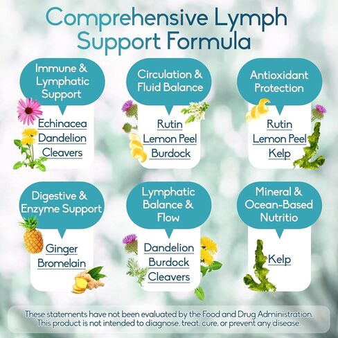 Lymphatic Drainage Supplements for Lymph System Support – Echinacea, Dandelion & Burdock for Immune & Circulation Support, Vegan Herbal Formula for Women & Men, 60 Capsules in Saudi Arabia